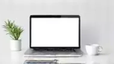 Understanding SEO Basics for Beginners